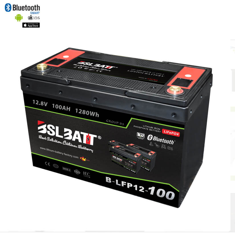 【New】100 Ah 12 V LiFePO4 Deep Cycle Battery