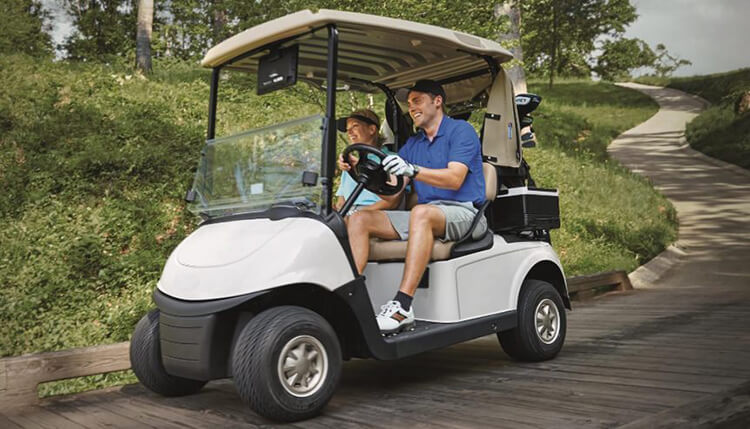 Lithium ion Golf Cart Batteries packs