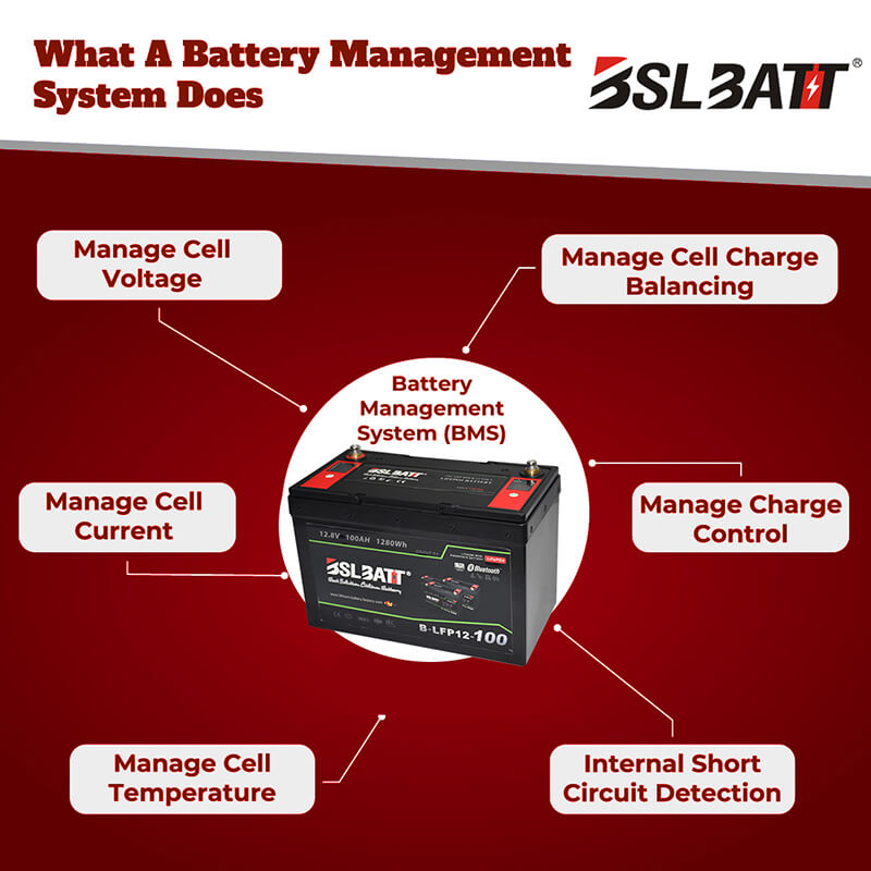 battery management system (BMS)